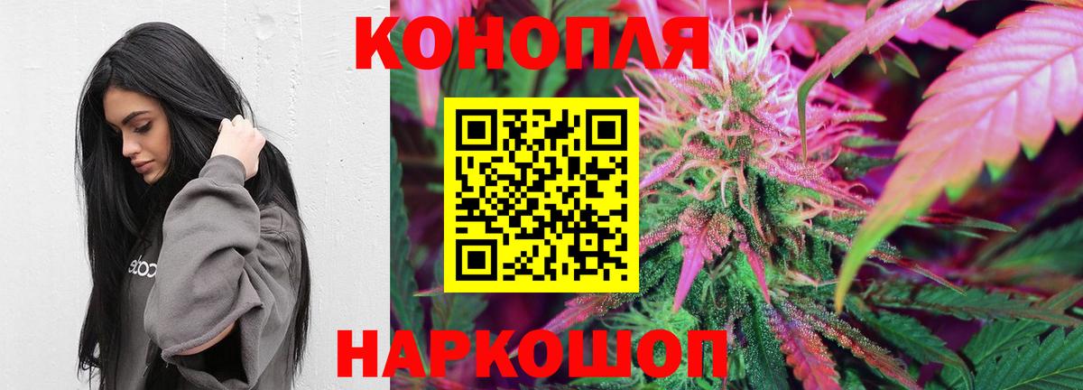 Конопля ГИДРОПОН  Каннабис сатива  Каннабис семена  Первоуральск  Вход с VPN 